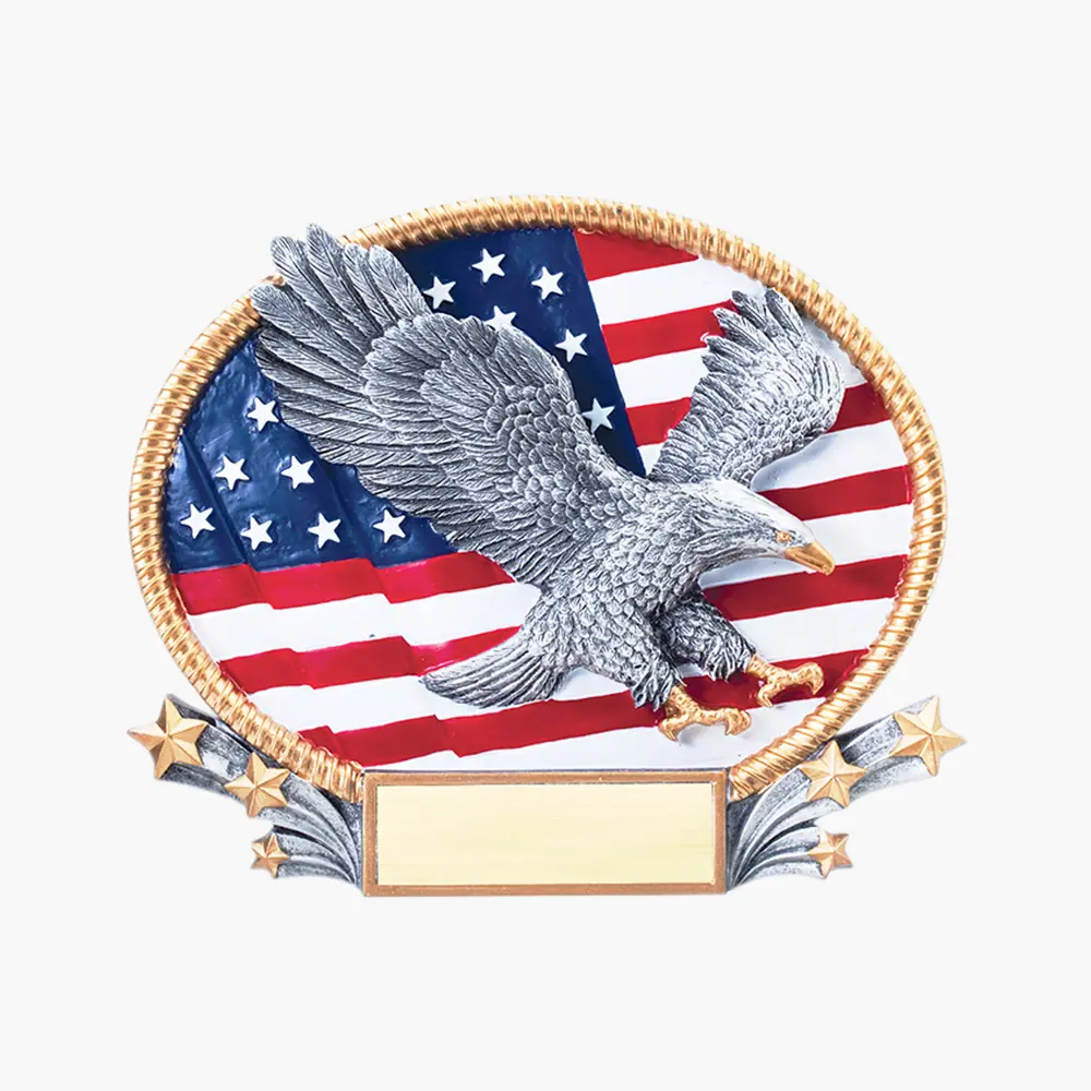 Patch - USA Eagle Flag